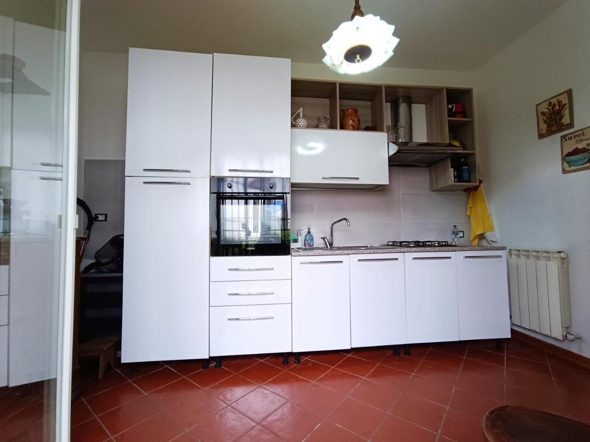 Cozy Apartment Near The City Walls Lucca Eksteriør bilde